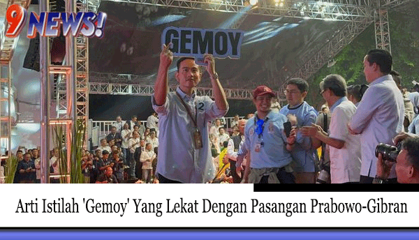 Arti-Istilah-'Gemoy'-Yang-Lekat-Dengan-Pasangan-Prabowo-Gibran