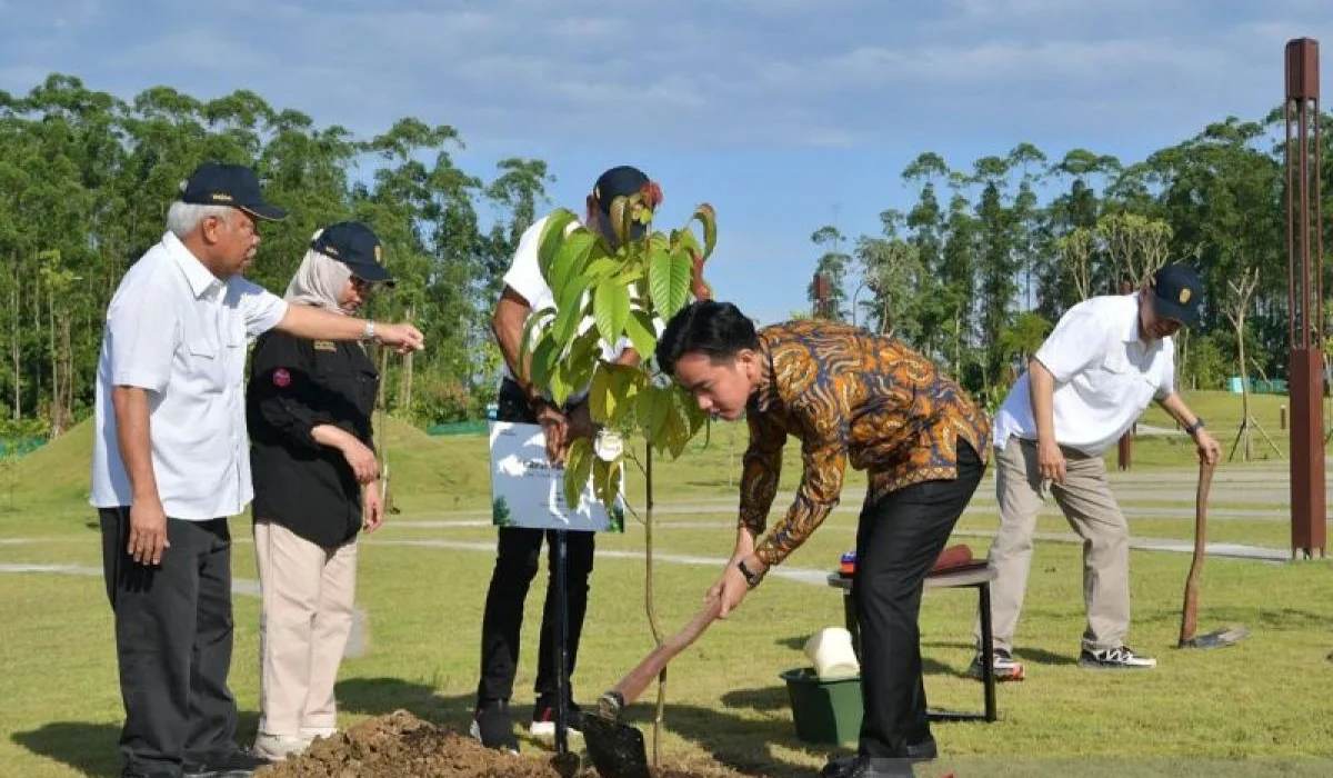 Wapres-Gibran-Tanam-Pohon-Ulin-di-IKN,-Tanda-Ketahanan-dan-Harapan-Baru
