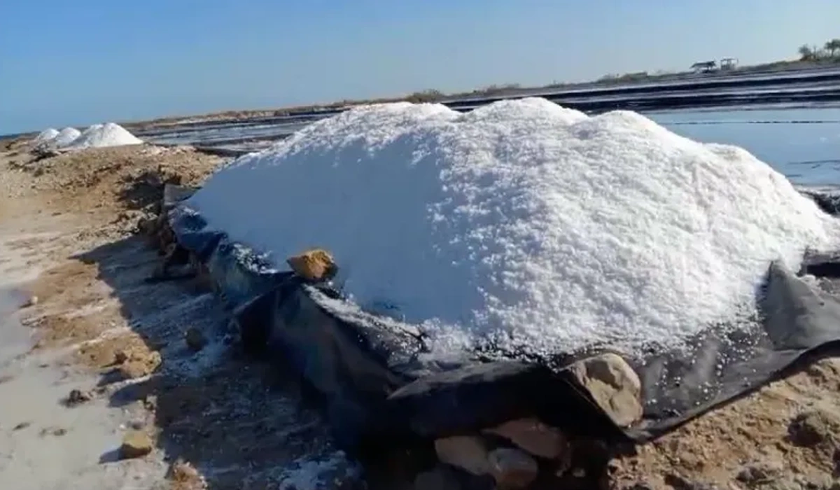 Peran-Rekayasa-Teknologi-Dalam-Produksi-Garam