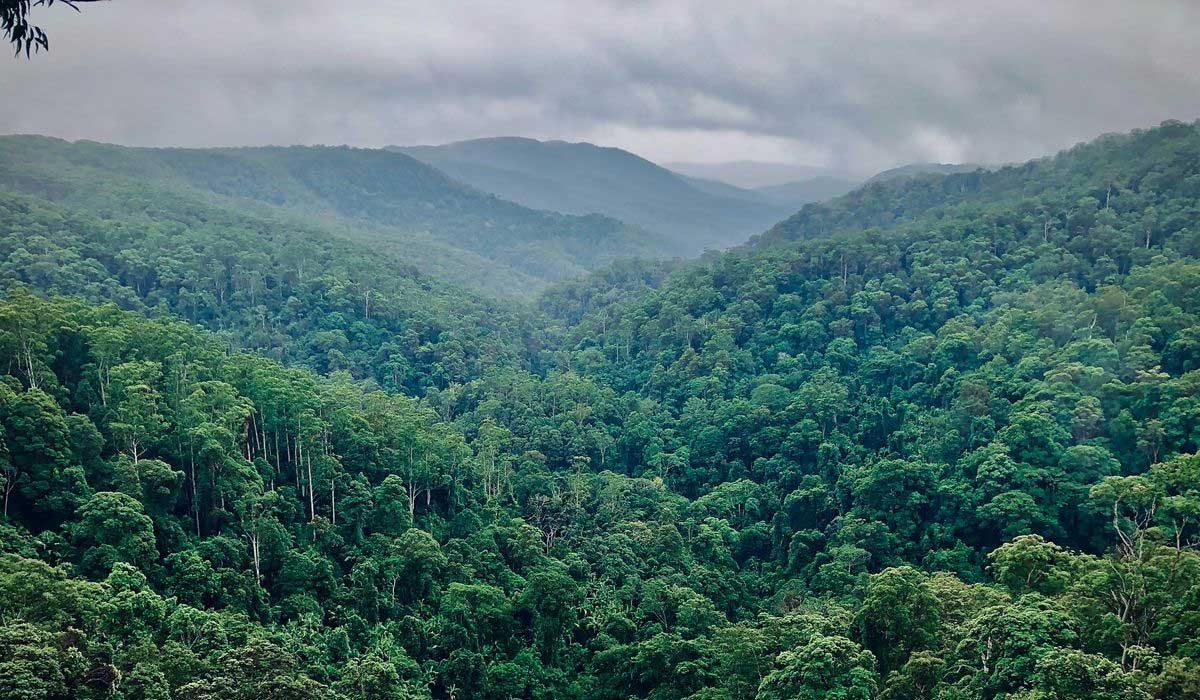 Prabowo Hantam Mafia Hutan, 1,5 Juta Hektar Lahan Kembali ke Rakyat!