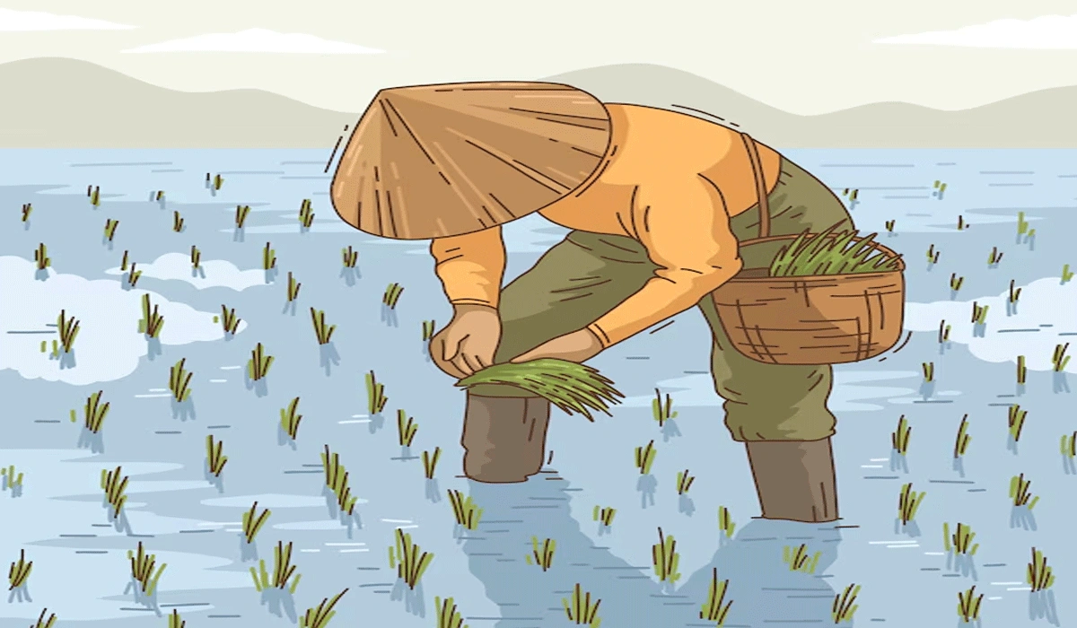 Program dan Bantuan Pemerintah Bagi Petani